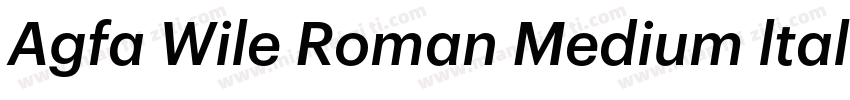 Agfa Wile Roman Medium ltalic字体转换